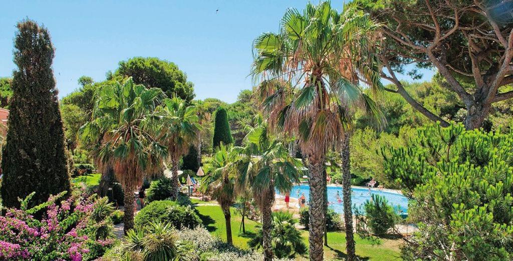 הייר La Badine 5P Plage Piscine Clim Jacuzzi Parc Luxuriant מראה חיצוני תמונה
